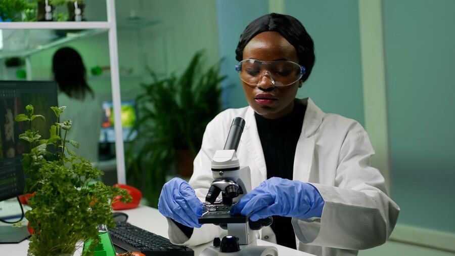 Five Career Paths to Pursue With a Biology Degree